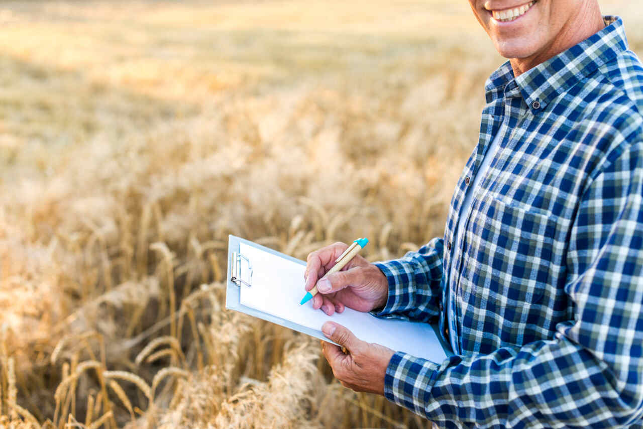 contabilidade rural