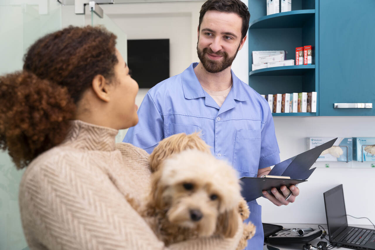 Abrir Uma Clínica Veterinária